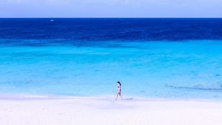 ホームページを作るならWordPressで作ることをおすすめする理由その2:ドメイン・サーバーを自由に選べる