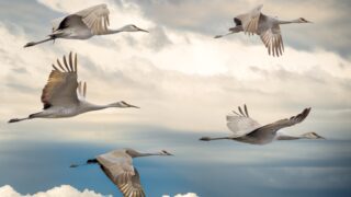 【IT顧問】お客様のGoogleアナリティクスのUAからGA4の対応をしました【本業が忙しい方におすすめ】